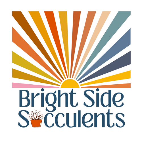 Bright Side Succulents